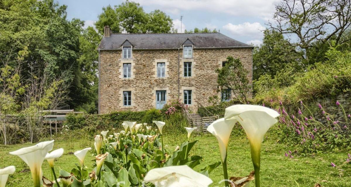 Apartament Le Moulin De Gueuzon Rochefort-en-Terre Zewnętrze zdjęcie